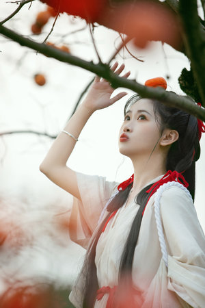 无码日本少妇精品视频