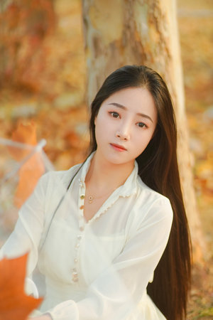 wwWwⅩ乂乂乂